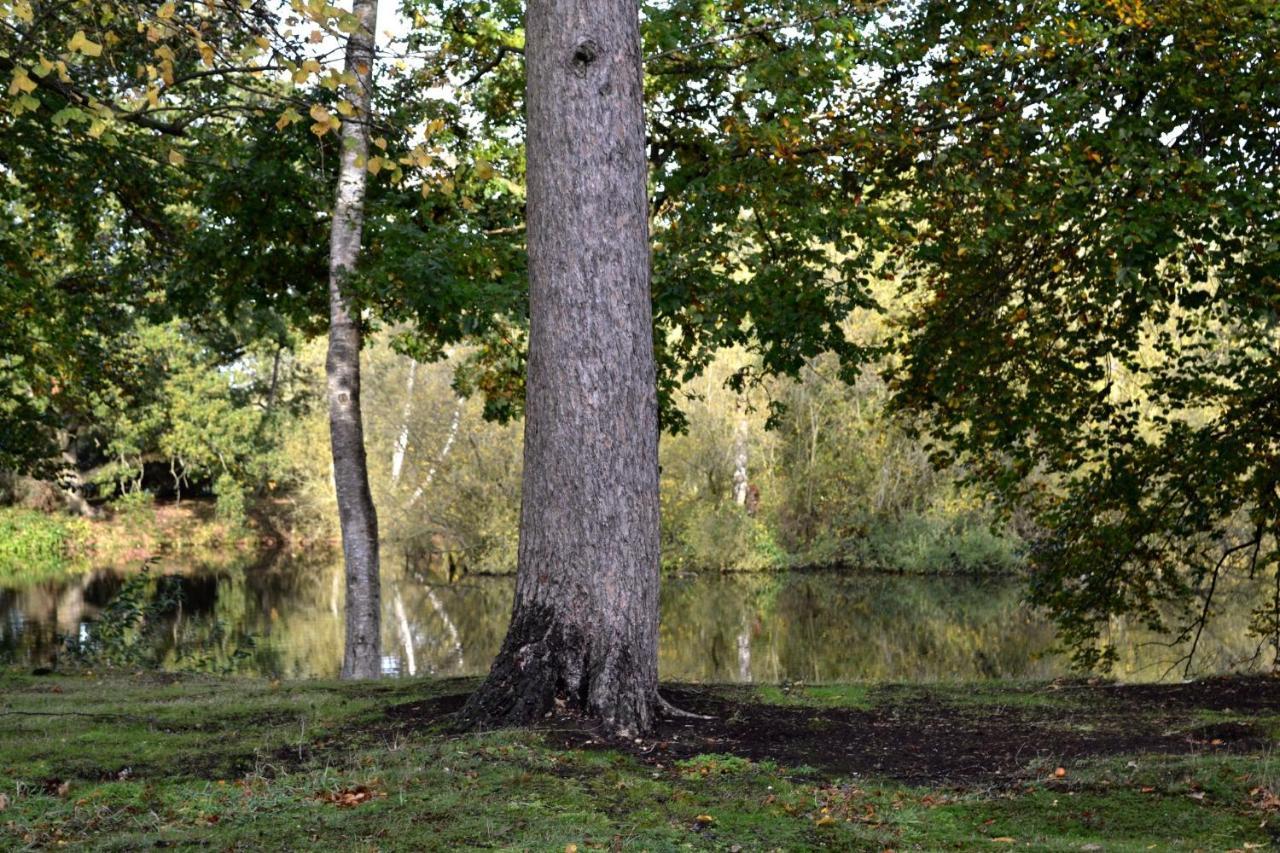 Lakewood Retreat وودهال سبا المظهر الخارجي الصورة